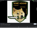 USA DOGE ARMY