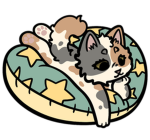'Little Paws