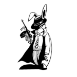NinjaSNR
