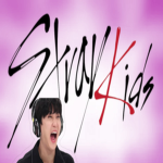 The StrayKids Fan Club