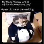 Cat patrol