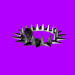 The Void Star Group