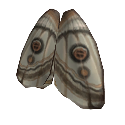 Folded Moth Wings