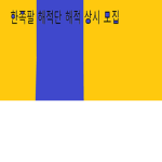 한쪽팔 해적단
