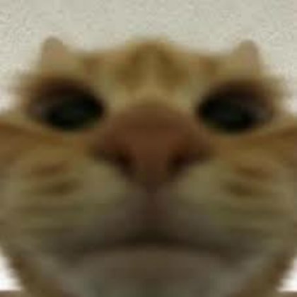 Cat Roblox decal
