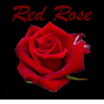 Red Rose Studio