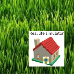 Real Life simulator