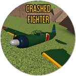 Crashed Fighter