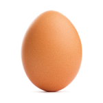 egs of ROBLOX
