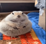 meδw