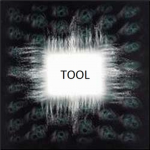 TOOL Fan Group