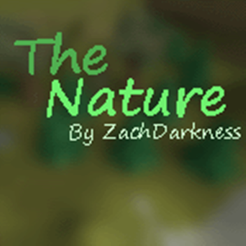The Nature