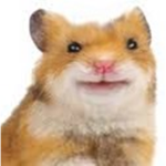 Hamsters United (aka the Hamster Militia)