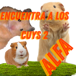 encuentra a los cuys 2 (Alfa)