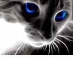 the demon cats