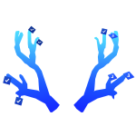 Honoring Antlers of Verified Community