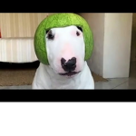 Watermelon Walter "official"