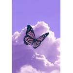 ~Preppy Butterflys~