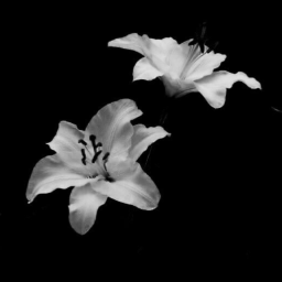 ❀