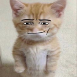 The Cat mans