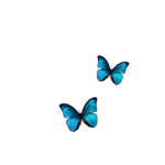 New group May group