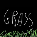 Grass FG