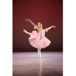 Alex's Aldc