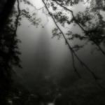 Zoolith Group Thumbnail