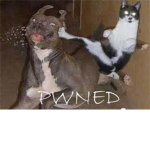 Big Mouth Panthers