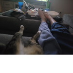 I heart and like to eat cats