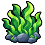 Seaweed Factory