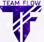 Team_Flow