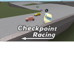 The Race!