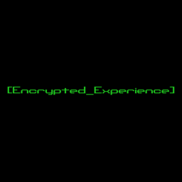 [Encrypted_Experience] (WIP)