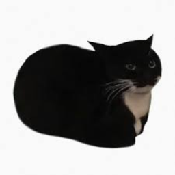 Gatitos