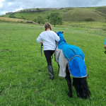 Star ridding academy
