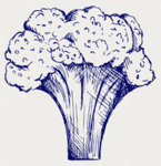 Absent Broccoli Entertainment