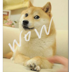 Agency of MEMES