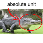 alligator squadron