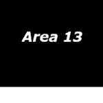 Area 13 group
