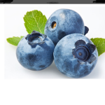 Blue Berry Buds
