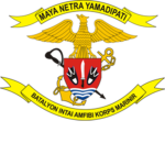 IAF | Amphibious Surveillance Battalion