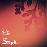 ElvenhallStudio