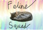 Feline Squad
