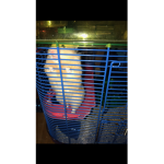 R.i.p Vanilla Muffin