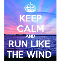 |*+ Run Like the Wind Obby +*|