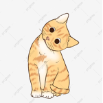 Who Rules the world CATS