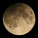 Loco moons