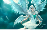 The Kawaii Angel's <3