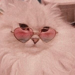 Catto Productions
